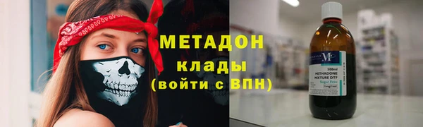 прущие грибы Армянск