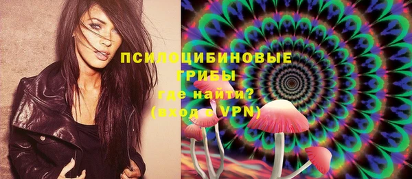 прущие грибы Армянск