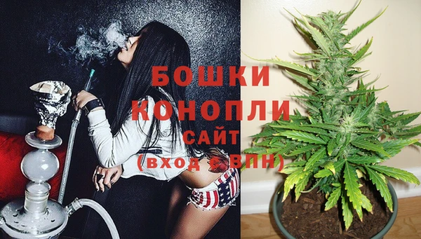 ешки Арсеньев